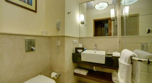 Двухместный номер Superior Muse Sarovar Portico Nehru Place