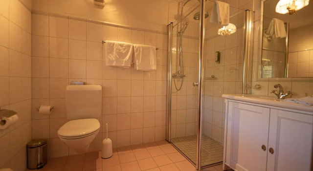 Двухместный номер Standard Hotel Alpenrose mit Gourmet-Restaurant Azalée