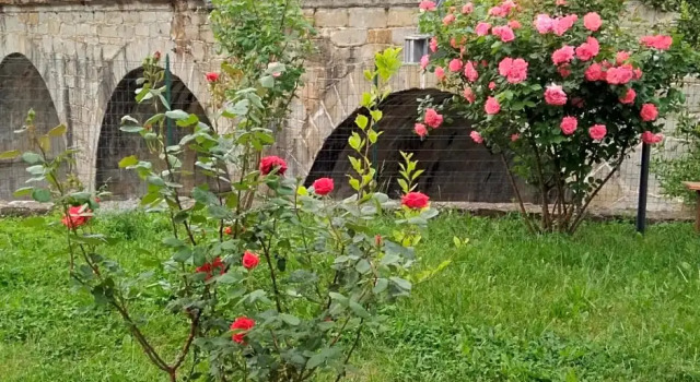 Alle rose barcolane, Book Bed and Breakfast Hoteller i Friuli Venezia Giulia med parkering, Parkering
