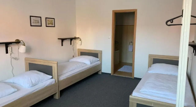 Трёхместный номер Standard Penzion Holiday