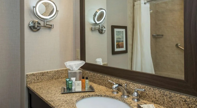 Четырёхместный номер Standard c 1 комнатой Hilton Winnipeg Airport Suites