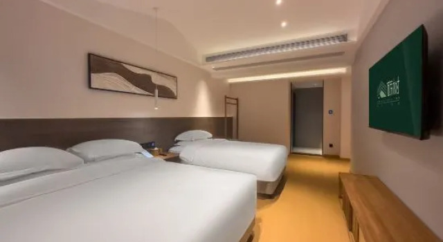 Люкс Дуплекс Travel Tree Inn