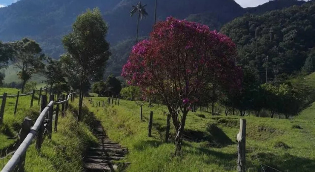 Refugios Nidos del Condor -Cocora-, Rezervovat Hotel Hotely v Santander s parkováním, Parkování