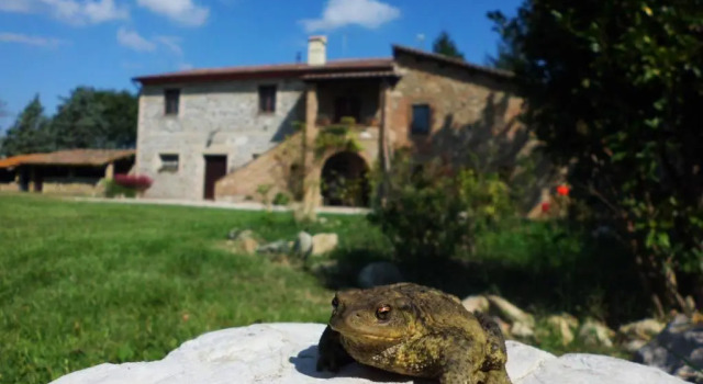 Коттедж Casale Del Colle | Perugia