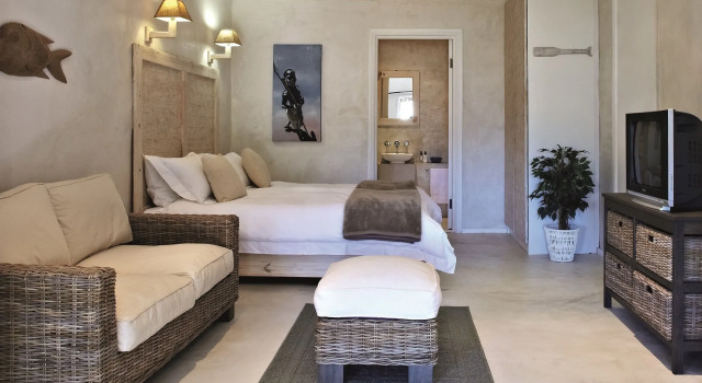 African Violet Guest Suites