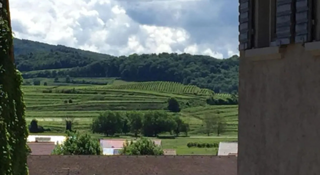 Ferienwohnung Alte Schmiede, Buchen Sie Hotel Burkheim Baden-Württemberg