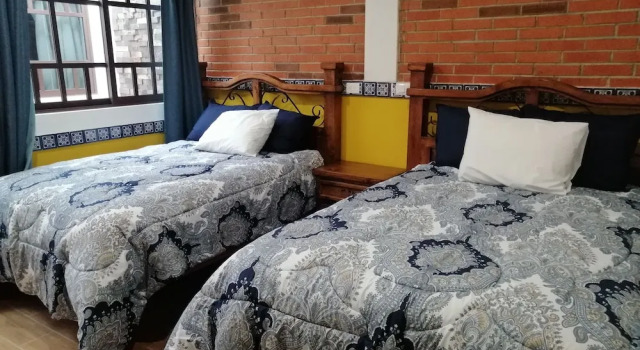 Двухместный номер Standard Hotel Y Suites Axolotl