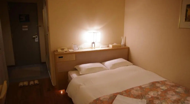 Двухместный номер Standard Gifu Castle Inn