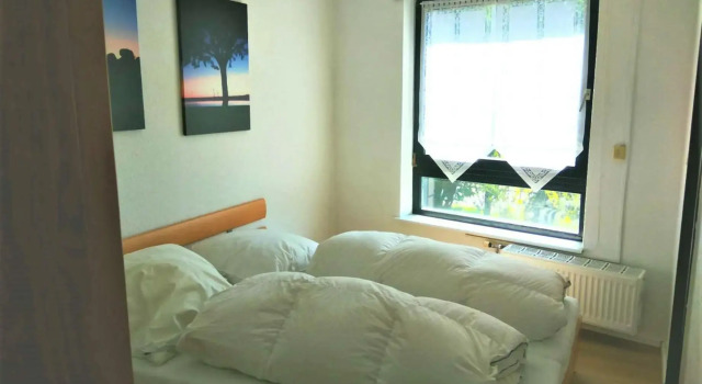 Möwennest