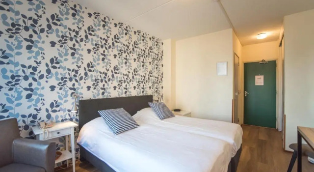 Двухместный номер Standard Hotel Faber