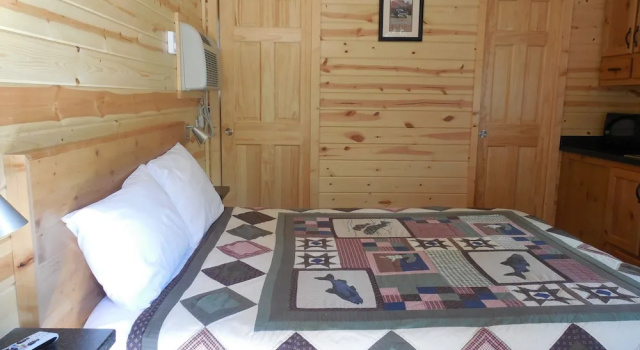 Номер Standard Snake River Cabin Village