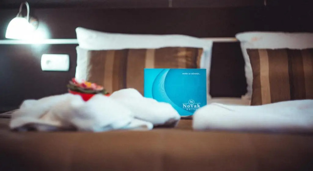 Четырёхместный номер Standard Hotel Novak