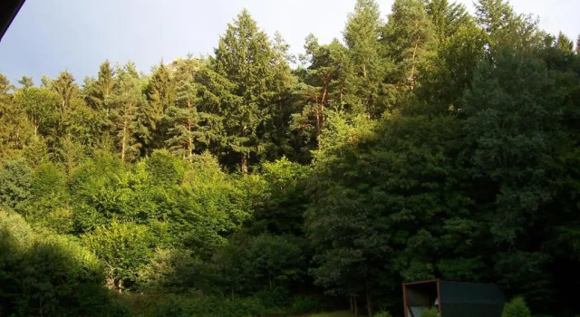 Апартаменты Ferienwohnung am Pfaffenfels