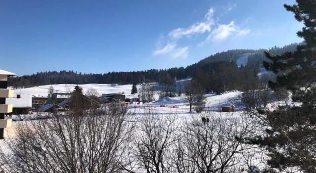 Апартаменты Magnifique appartement pied des pistes