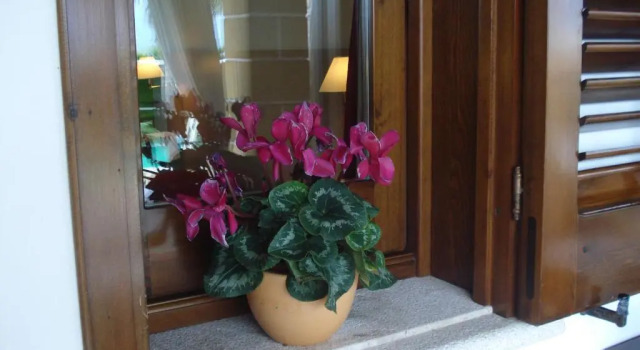 Одноместный номер Standard Villa Carlo Resort