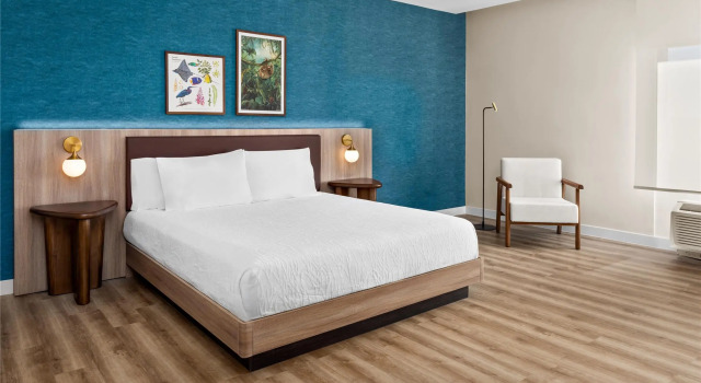 Номер Deluxe Hilton Garden Inn Guanacaste Airport