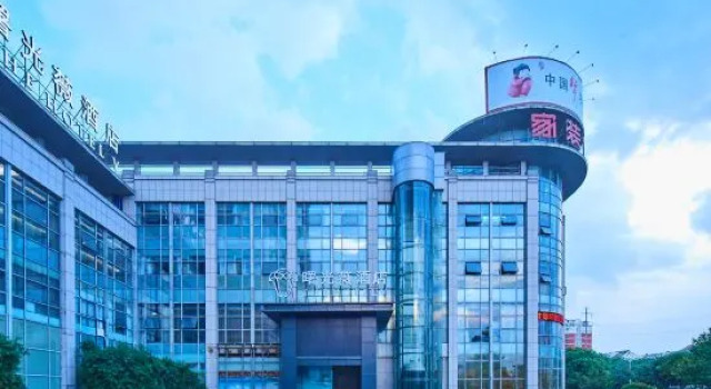 The Hotel V