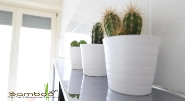 Апартаменты Bamboo Milano Papiniano