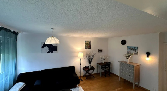 Furnished Apartment in Baden, Забронировать Апартаменты/квартира Баден 