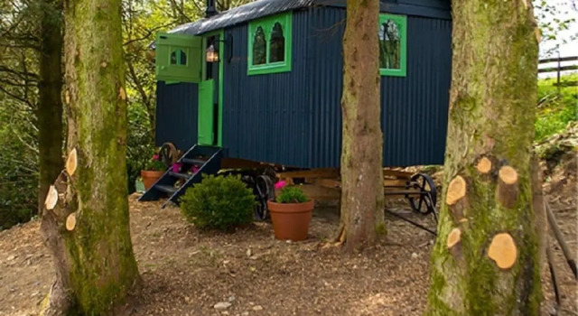 Номер Standard Llethrau Farm