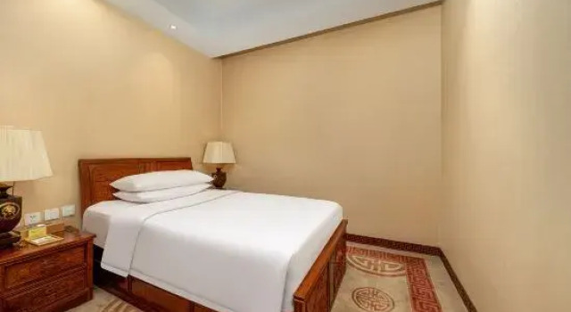 Люкс Deluxe Vienna International Hotel Xian Dayan Tower