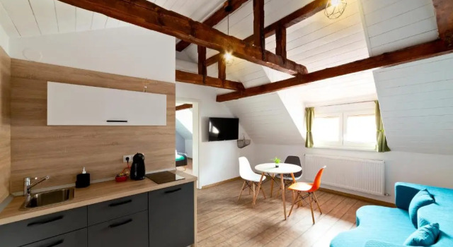 Апартаменты c 1 комнатой T House