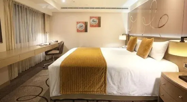 Люкс Deluxe Kaohsiung Chateau de Chine Hotel