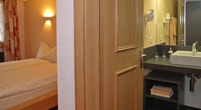 Двухместный номер Standard Hotel Steinbock