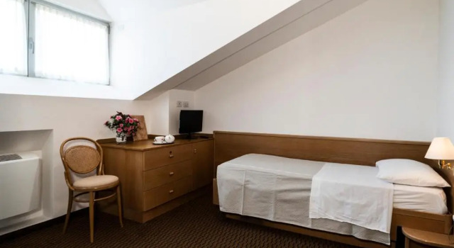Одноместный номер Standard Hotel Terme Villa Regina