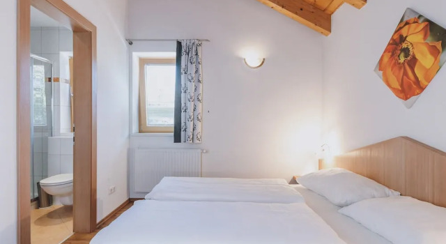 Appartement Haus Elise by we rent, SUMMERCARD INCLUDED, Забронировать Отель Отели Целль-ам-Зе 3 звезды, рядом с Подъемник Areitbahn, 3*