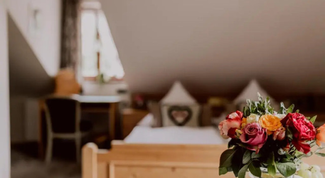 Одноместный номер Standard Hotel Zur alten Mühle