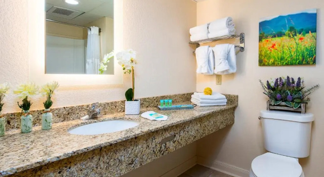 Четырёхместный номер Standard Country Cascades Waterpark Resort