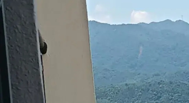 Nest Apartment, Prenota Appartamento Qingyuan Guangdong