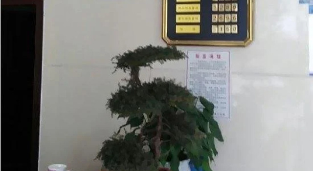 Yueliangwan Hotel, Rezerwuj Hotel Shangrao Jiangxi