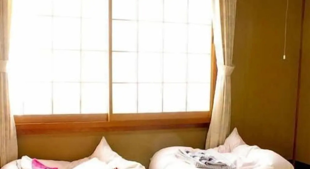Standart aile oda Daiya Ryokan