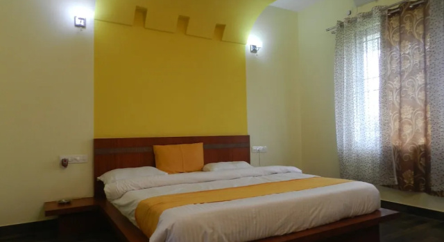 Двухместный номер Deluxe с видом на парк Park Hotel and Resort