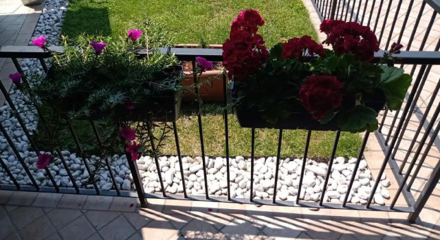 Апартаменты Oxy Holiday Home