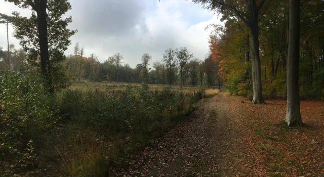 Villa Helena, Prenota Villa Hotel a Flanders con parcheggio, Parcheggio