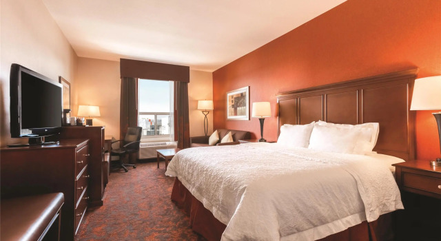 Двухместный номер Standard Hampton Inn by Hilton Edmonton South
