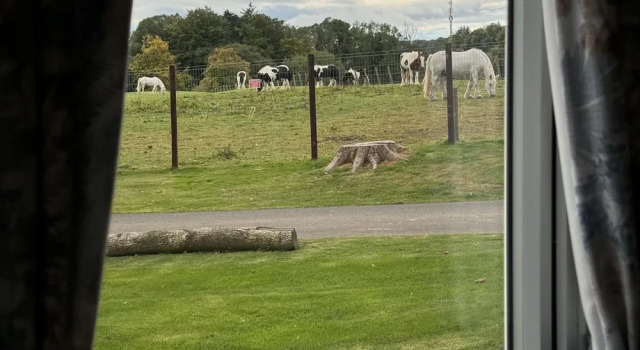Апартаменты West Lawn 47 Haggerston Castle Paddock Views