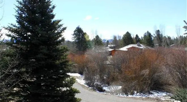 Cove, Buchen Sie Ferienwohnung Moose Wilson Road USA