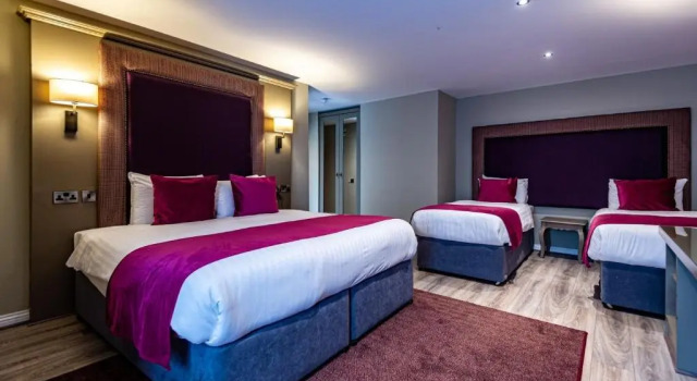 Семейный номер Standard Fir Trees Hotel