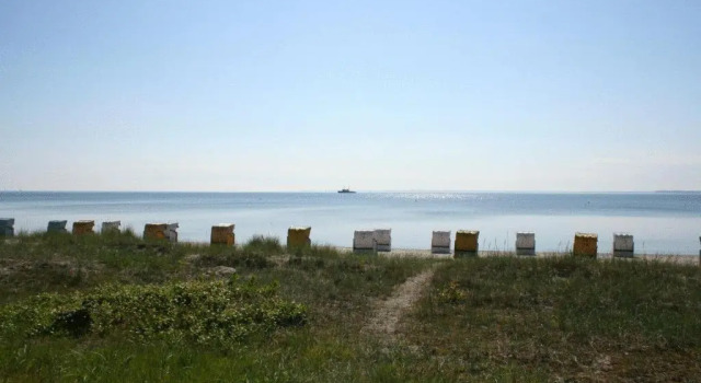 Одноместный номер Standard с видом на море Hof Sierksdorf