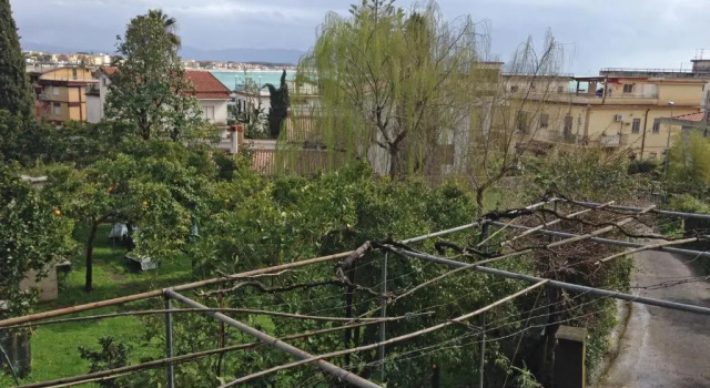 Апартаменты Casa sul Monte dOro