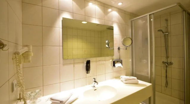 Трёхместный номер Standard Hotel Alexandra