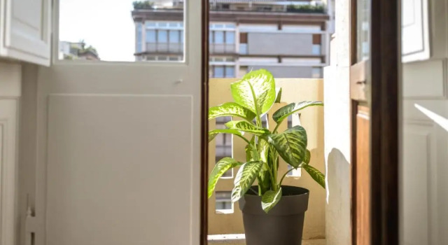 Апартаменты Deluxe Art View Luxury Apartment
