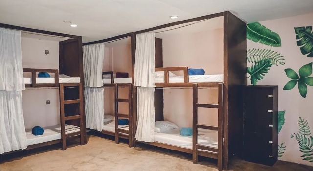 Coco Pod Siargao Hostel