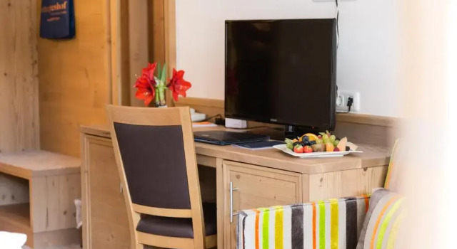 Одноместный номер Standard Hotel Plattenhof