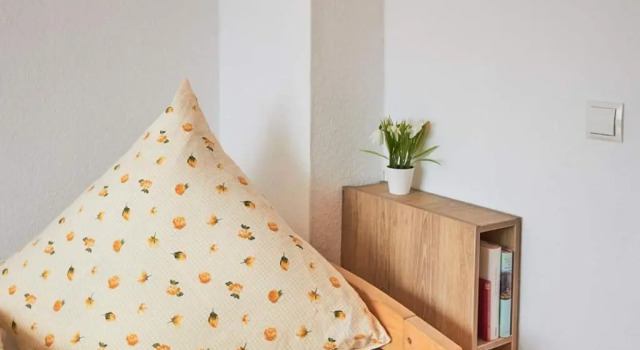 Апартаменты Ferienwohnung Sonya