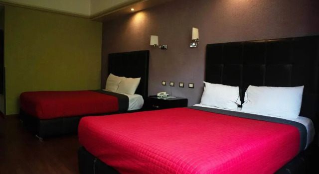Номер Deluxe Hotel Diana del Bosque by DOT Urban